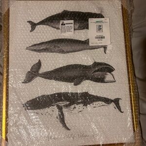 Stupell Industries Maine Wildlife Whale Canvas with Gold Border Size 16x20 NEW
